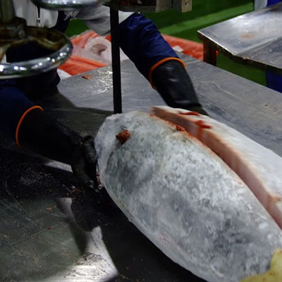 Cutting Cutting
