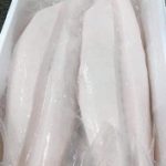 escolar