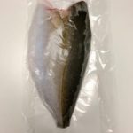 kampachi